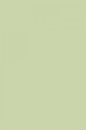 FARROW AND BALL COOKING APPLE GREEN NO. 32 PAINT